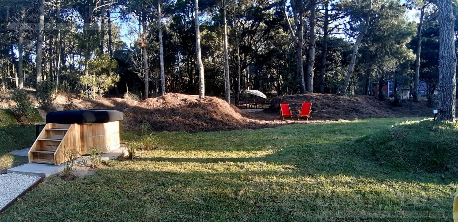 6564571_111470415600380109645170780889138579013764345172709405176928904119642132062021