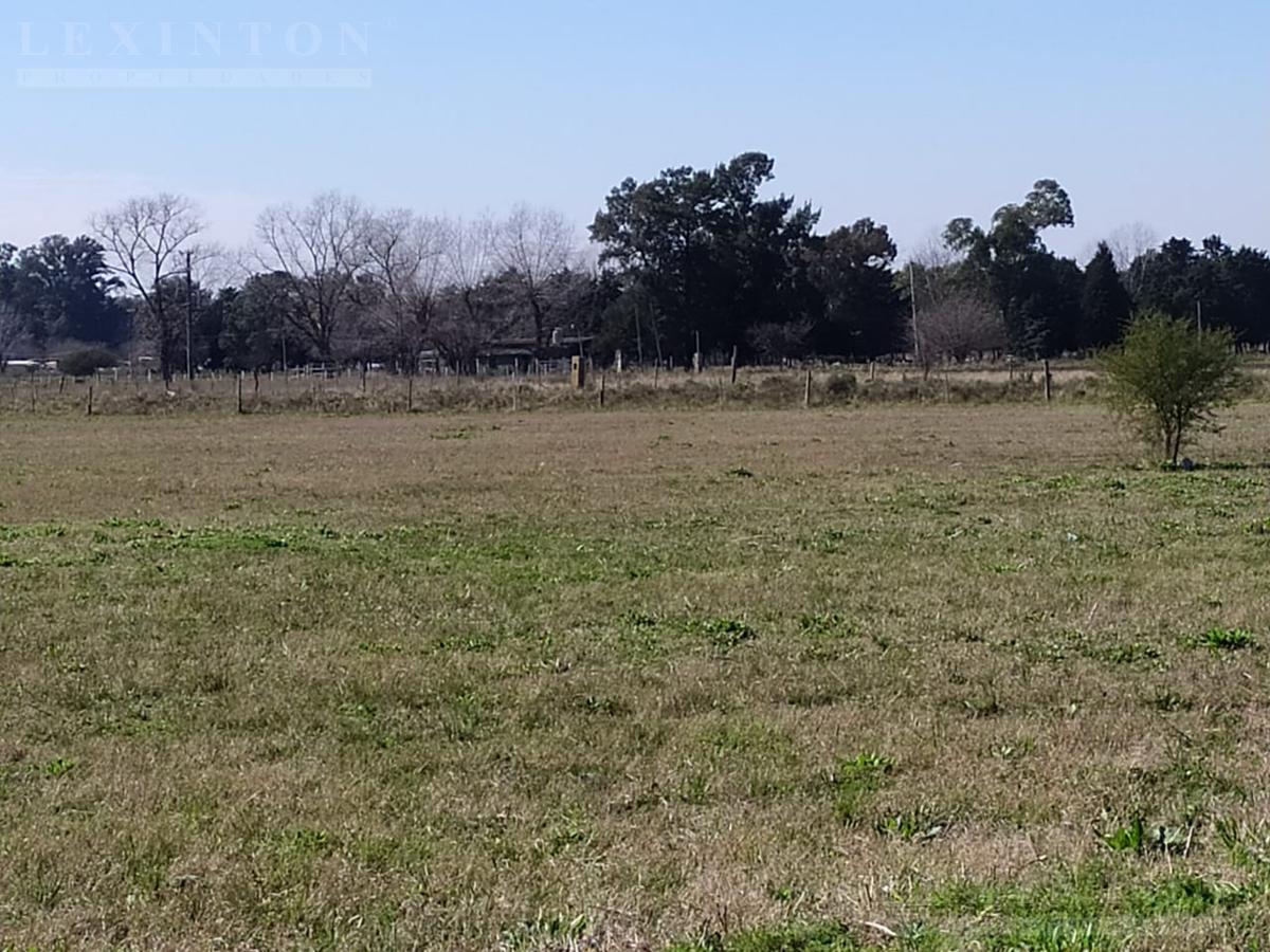 52770389492719954983398804310674028610774806196077059253486459287459379860442