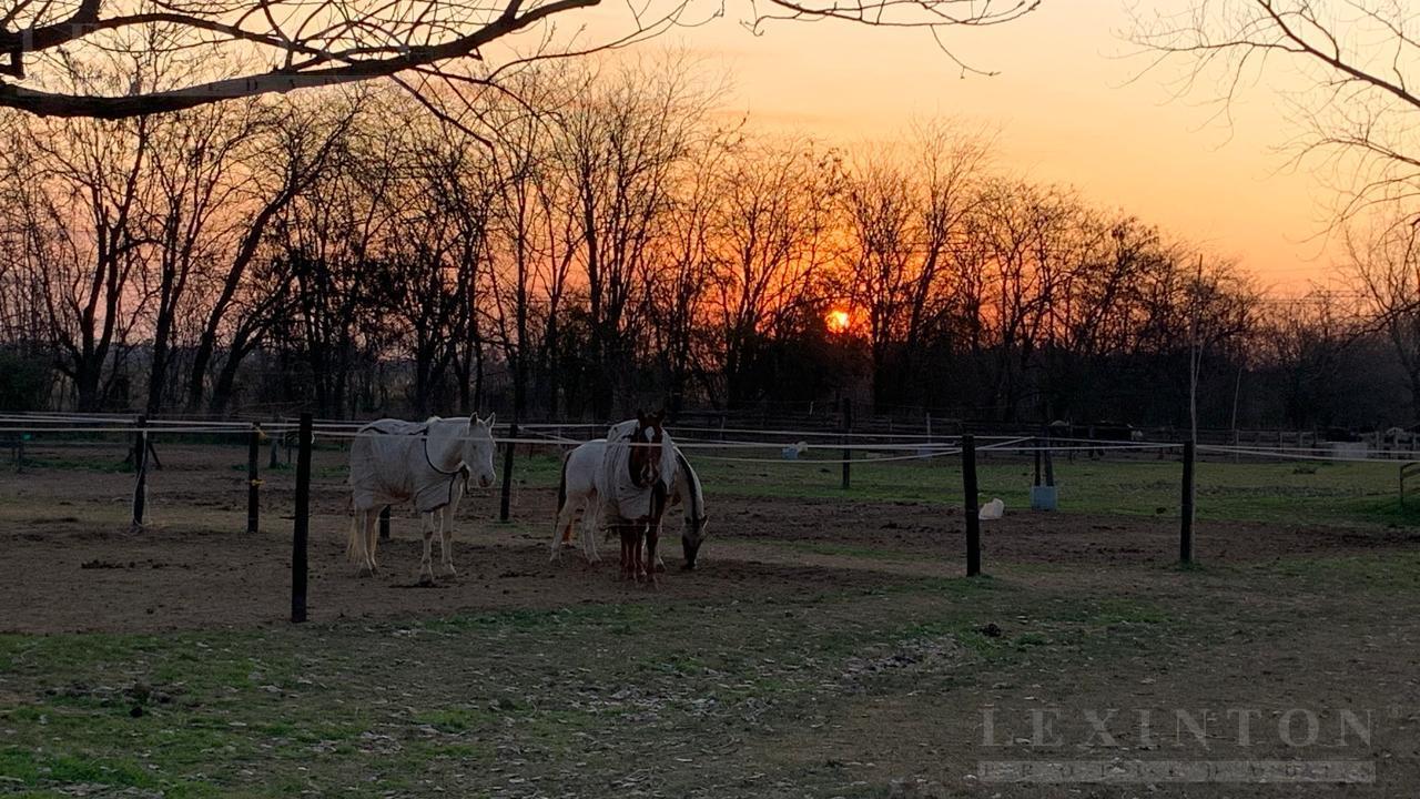 6802350_53521721615972689410962184765789712263826383599059119448778922584495216928542