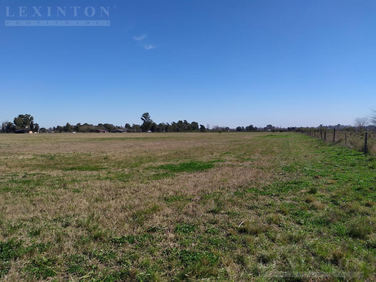 99762385183775471715445237625075233627813091233299529916440478741229021336217