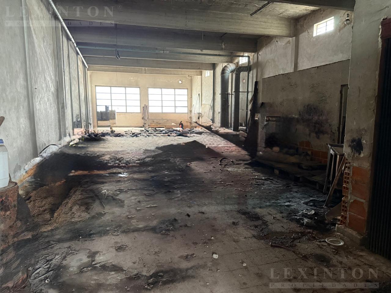 7831800_13354418913085347948301825220485637466233422534645085660487998935698973128069